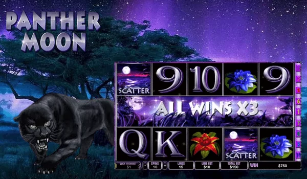 2022 Panther Moon Slot Ultimate Winning Tips