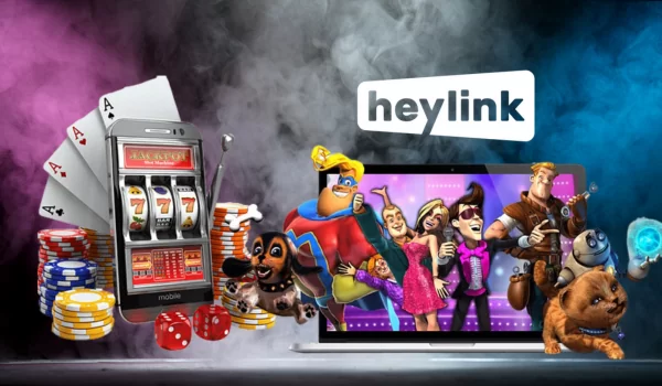 Introduction Of Heylink